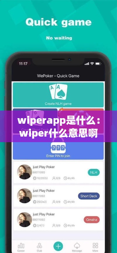 wiperapp是什么:wiper什么意思啊 wiperapp是什么:wiper什么意思啊