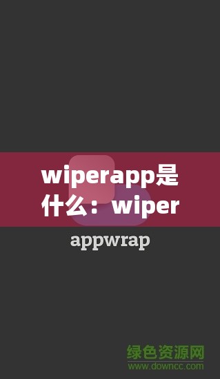wiperapp是什么:wiper什么意思啊 wiperapp是什么:wiper什么意思啊