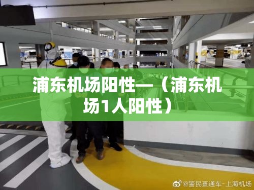 浦东机场阳性—(浦东机场1人阳性) 浦东机场阳性—(浦东机场1人阳性)