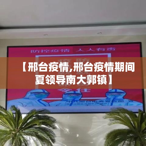 【邢台疫情,邢台疫情期间夏领导南大郭镇】 【邢台疫情,邢台疫情期间夏领导南大郭镇】