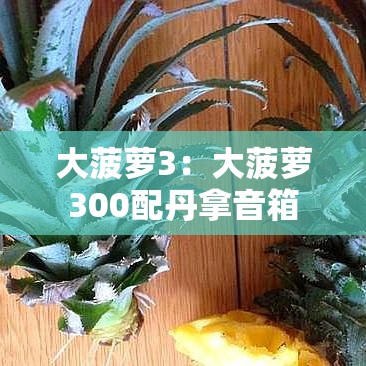 大菠萝3:大菠萝300配丹拿音箱 大菠萝3:大菠萝300配丹拿音箱
