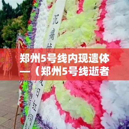 郑州5号线内现遗体—(郑州5号线逝者名单) 郑州5号线内现遗体—(郑州5号线逝者名单)
