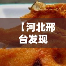 【河北邢台发现核酸检测阳性患者,河北邢台发现核酸检测阳性患者是真的吗】 【河北邢台发现核酸检测阳性患者,河北邢台发现核酸检测阳性患者是真的吗】