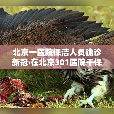 北京一医院保洁人员确诊新冠›在北京301医院干保洁多少钱 北京一医院保洁人员确诊新冠›在北京301医院干保洁多少钱