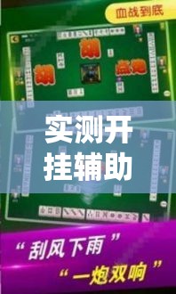 实测开挂辅助“哥哥杭州麻将怎么开挂”透视开挂辅助教程
