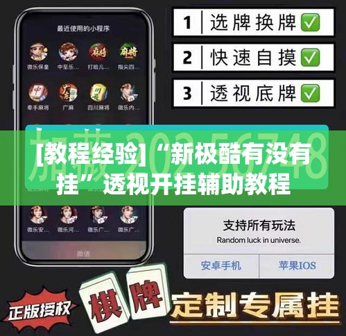 [教程经验]“新极酷有没有挂”透视开挂辅助教程