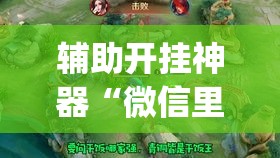 辅助开挂神器“微信里微乐麻将有诀窍”(透视挂)辅助透视教程