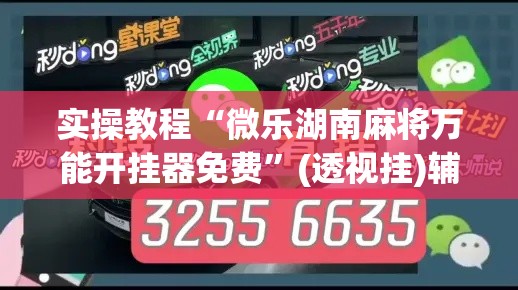 实操教程“微乐湖南麻将万能开挂器免费	”(透视挂)辅助透视教程