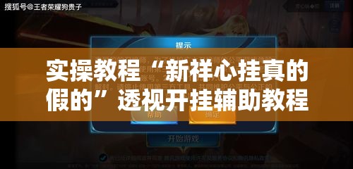 实操教程“新祥心挂真的假的”透视开挂辅助教程