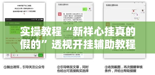 实操教程“新祥心挂真的假的”透视开挂辅助教程