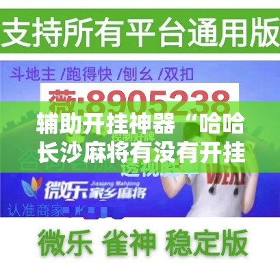 辅助开挂神器“哈哈长沙麻将有没有开挂吗”透视开挂辅助教程