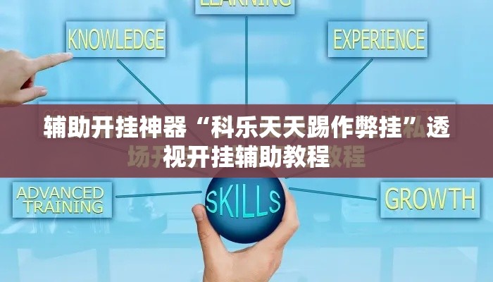 辅助开挂神器“科乐天天踢作弊挂”透视开挂辅助教程