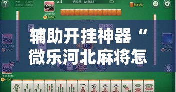辅助开挂神器“微乐河北麻将怎么提高胜率	”透视开挂辅助教程