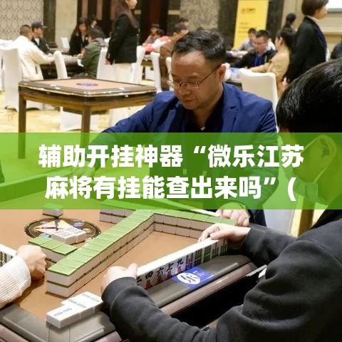 辅助开挂神器“微乐江苏麻将有挂能查出来吗”(透视挂)辅助透视教程