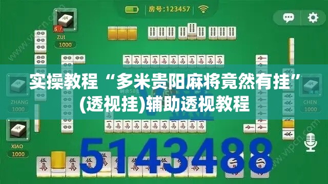 实操教程“多米贵阳麻将竟然有挂”(透视挂)辅助透视教程