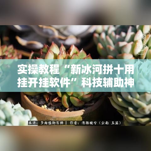 实操教程“新冰河拼十用挂开挂软件”科技辅助神器手机版教程