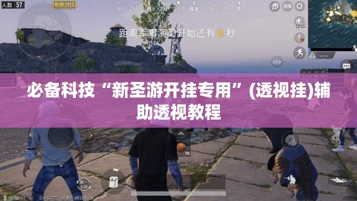 必备科技“新圣游开挂专用”(透视挂)辅助透视教程