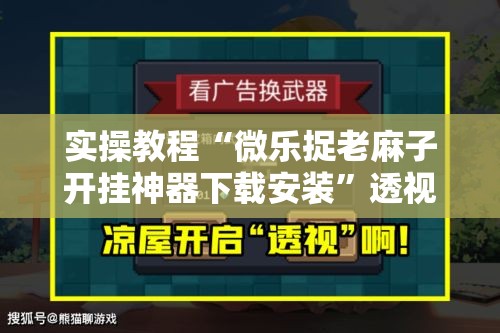 实操教程“微乐捉老麻子开挂神器下载安装”透视开挂辅助教程
