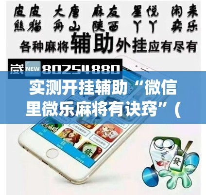实测开挂辅助“微信里微乐麻将有诀窍	”(透视挂)辅助透视教程