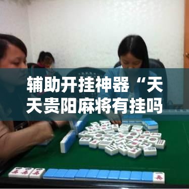 辅助开挂神器“天天贵阳麻将有挂吗	”科技辅助神器手机版教程