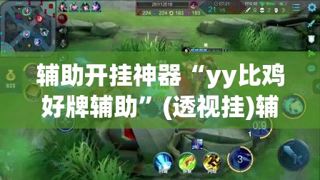 辅助开挂神器“yy比鸡好牌辅助”(透视挂)辅助透视教程