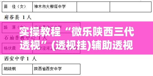 实操教程“微乐陕西三代透视”(透视挂)辅助透视教程