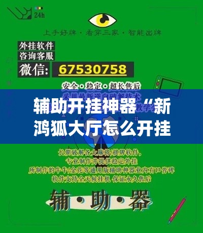 辅助开挂神器“新鸿狐大厅怎么开挂	”(透视挂)辅助透视教程