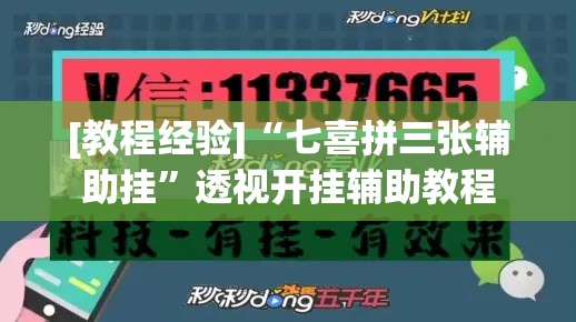 [教程经验]“七喜拼三张辅助挂”透视开挂辅助教程