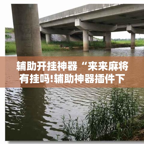 辅助开挂神器“来来麻将有挂吗!辅助神器插件下载 辅助开挂神器“来来麻将有挂吗!辅助神器插件下载