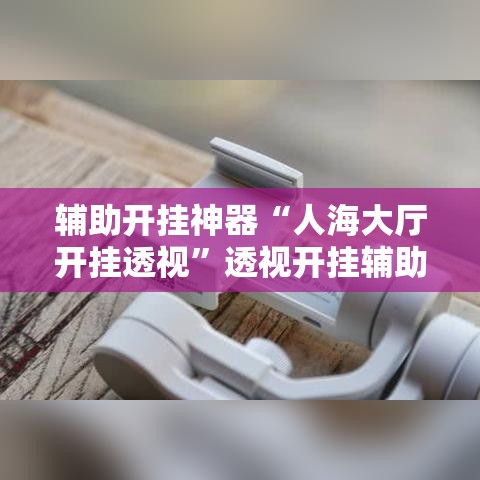 辅助开挂神器“人海大厅开挂透视”透视开挂辅助教程