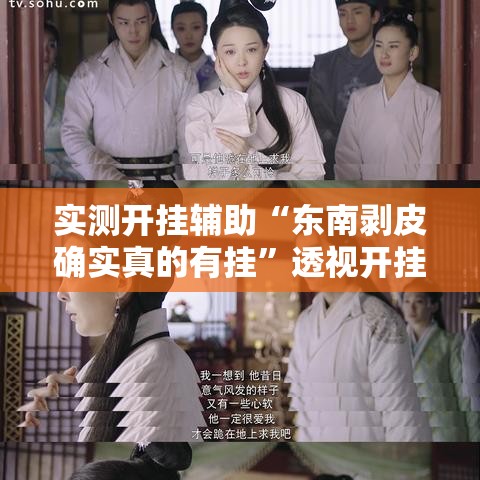 实测开挂辅助“东南剥皮确实真的有挂”透视开挂辅助教程