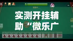 实测开挂辅助“微乐广西麻将万能开挂器通用版”透视开挂辅助教程