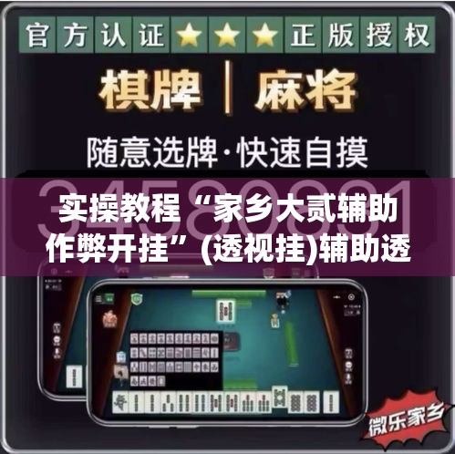 实操教程“家乡大贰辅助作弊开挂”(透视挂)辅助透视教程