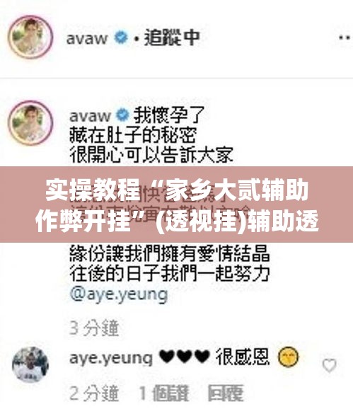实操教程“家乡大贰辅助作弊开挂”(透视挂)辅助透视教程