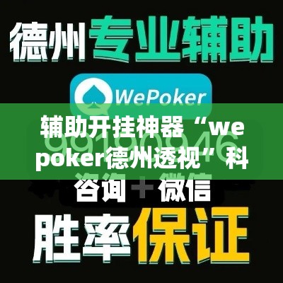 辅助开挂神器“wepoker德州透视	”科技辅助神器手机版教程