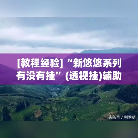 [教程经验]“新悠悠系列有没有挂”(透视挂)辅助透视教程