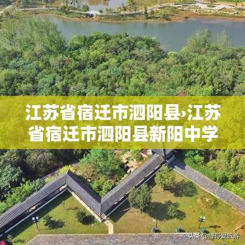 江苏省宿迁市泗阳县›江苏省宿迁市泗阳县新阳中学 江苏省宿迁市泗阳县›江苏省宿迁市泗阳县新阳中学