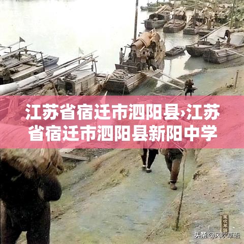 江苏省宿迁市泗阳县›江苏省宿迁市泗阳县新阳中学 江苏省宿迁市泗阳县›江苏省宿迁市泗阳县新阳中学