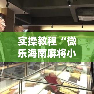 实操教程“微乐海南麻将小程序必赢神器”透视开挂辅助教程