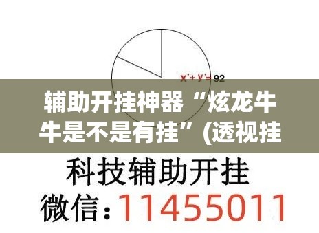 辅助开挂神器“炫龙牛牛是不是有挂”(透视挂)辅助透视教程