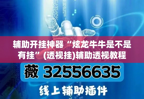 辅助开挂神器“炫龙牛牛是不是有挂	”(透视挂)辅助透视教程