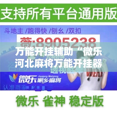 万能开挂辅助“微乐河北麻将万能开挂器免费通用版”透视开挂辅助教程