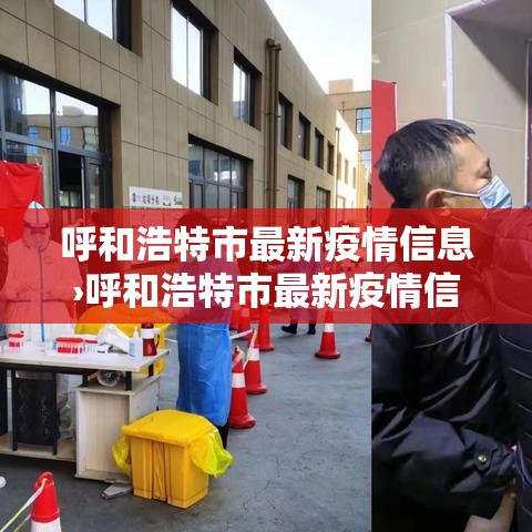 呼和浩特市最新疫情信息›呼和浩特市最新疫情信息公布 呼和浩特市最新疫情信息›呼和浩特市最新疫情信息公布
