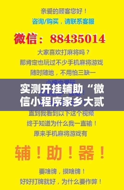 实测开挂辅助“微信小程序家乡大贰辅助器”科技辅助神器手机版教程