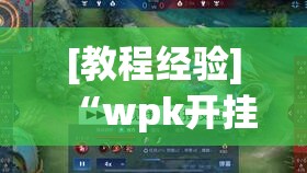 [教程经验]“wpk开挂辅助器”透视开挂辅助教程