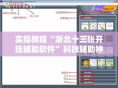 实操教程“浙北十三张开挂辅助软件	”科技辅助神器手机版教程