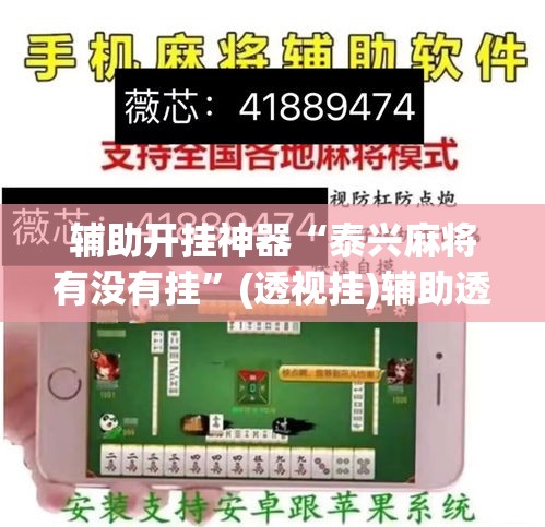 辅助开挂神器“泰兴麻将有没有挂”(透视挂)辅助透视教程