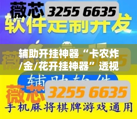 辅助开挂神器“卡农炸/金/花开挂神器”透视开挂辅助教程