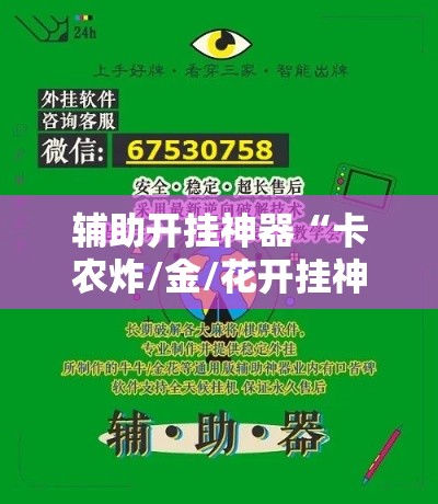 辅助开挂神器“卡农炸/金/花开挂神器”透视开挂辅助教程