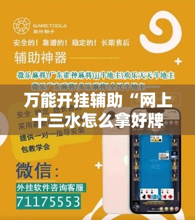万能开挂辅助“网上十三水怎么拿好牌”科技辅助神器手机版教程